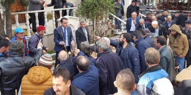 Çaykara’da ikibin meyve fidanı dağıtıldı