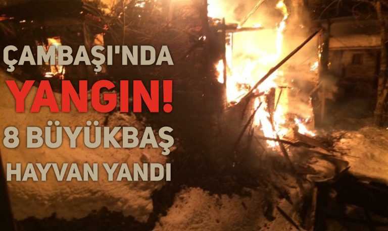 Çambaşı’nda bir ev kül oldu