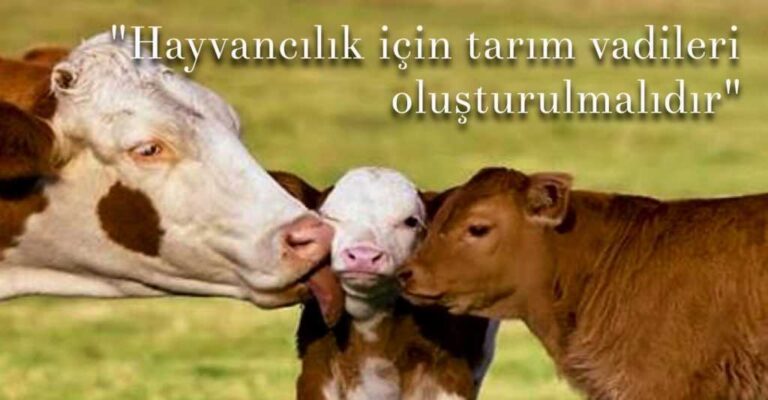 TÜMSİAD Hayvancılık raporunda Çaykara Vadisi vurgusu