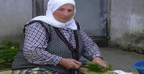 Çaykara’da yetişen ve kilosu 200 TL’ye satılan bitkiyi biliyor muyuz?