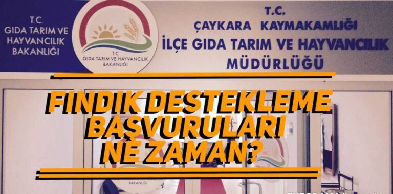 Fındık destekleme işlemlerinde son tarih ne zaman?