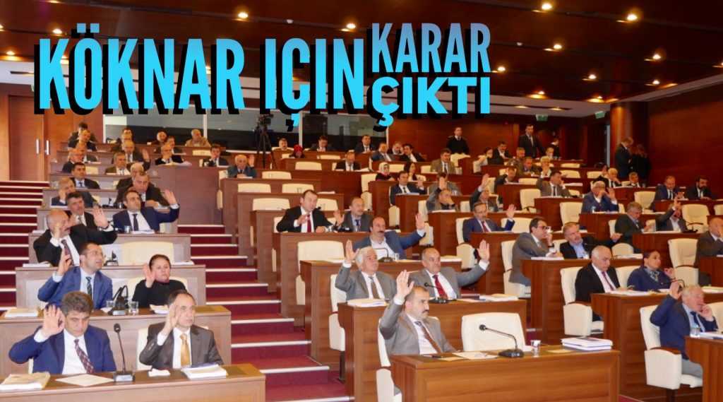 TİSKİ’den Köknar’a müjde