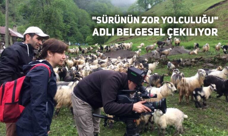 TRT’den sürü göçü belgeseli