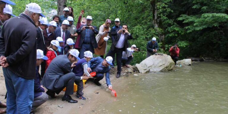 Taşkıran’da dereye alabalık bırakıldı