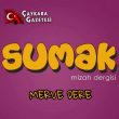 Merve Dere