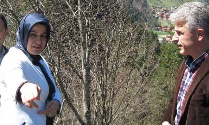 Uzungöl’e Seyir Terası Yapılacak