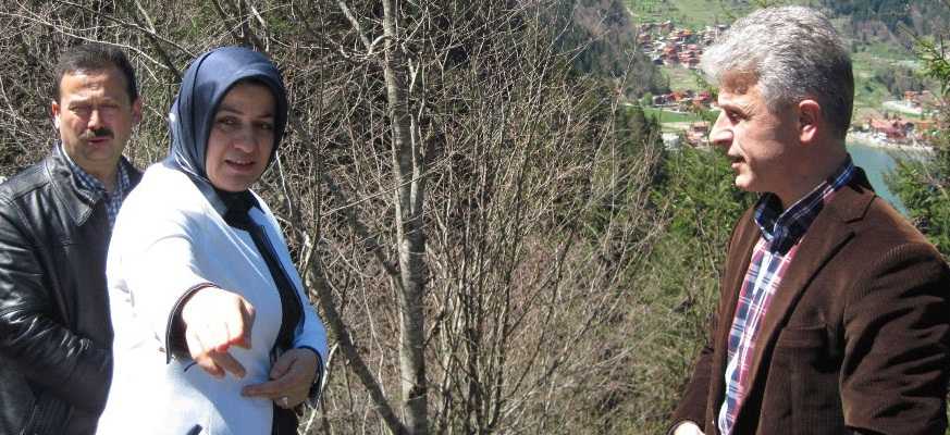 Uzungöl’e Seyir Terası Yapılacak