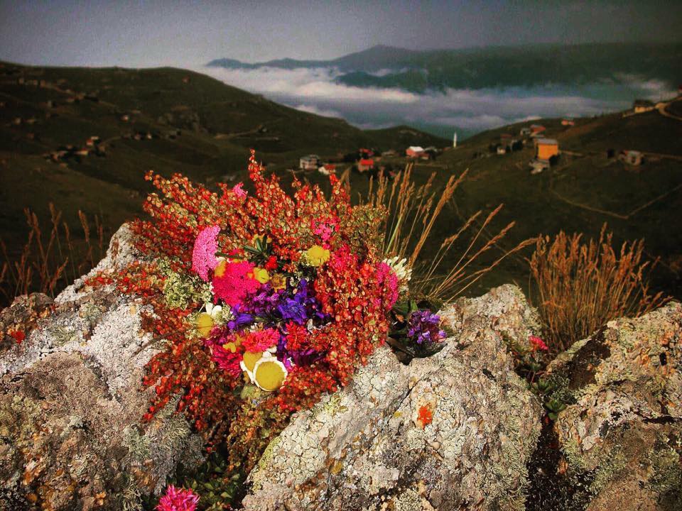 Yayla yolları transit…