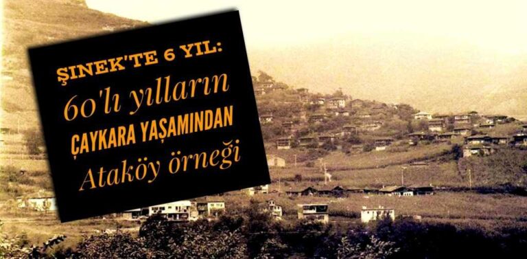 Tarihe derin bir yolculuk: Şinek’te altı yıl