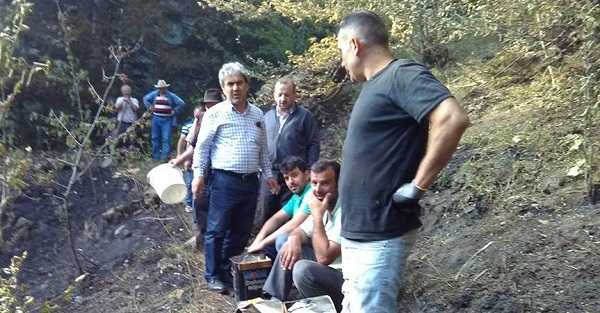 Demirkapı’da orman yangını