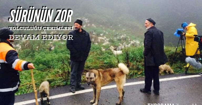 Sürünün Zor Yolculuğu Belgeseli final çekimleri devam ediyor