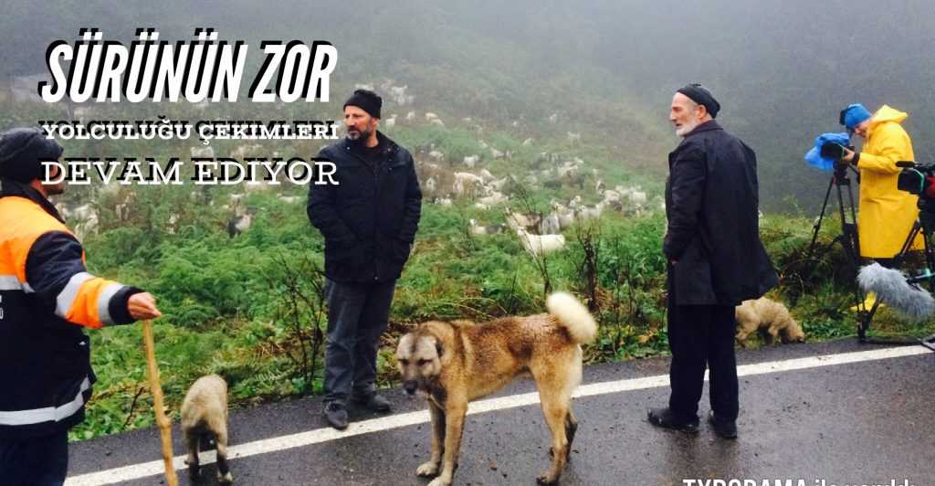 Sürünün Zor Yolculuğu Belgeseli final çekimleri devam ediyor