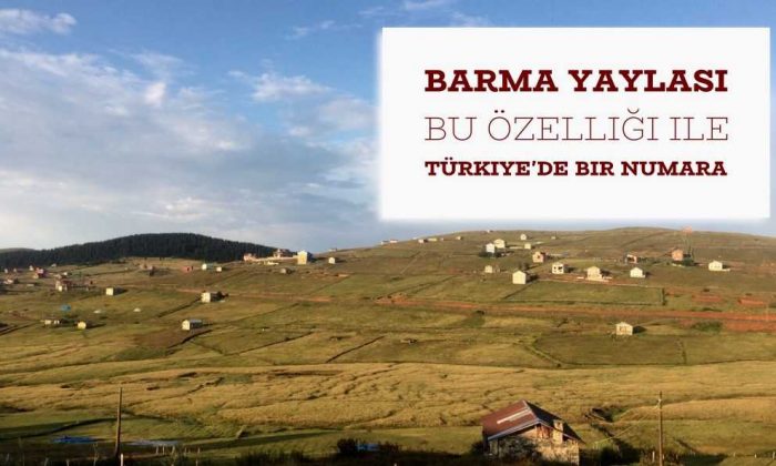 Ağaçbaşı turbalığı doğal sit alanı oldu