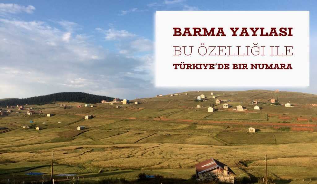 Barma Ağaçbaşı Turbalığı bir dünya mirası