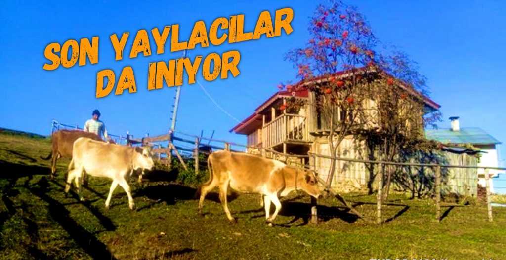 Son Yaylacılar da iniyor