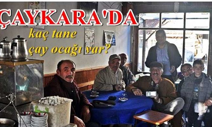 Çaykara’da kaç çay ocağı var?