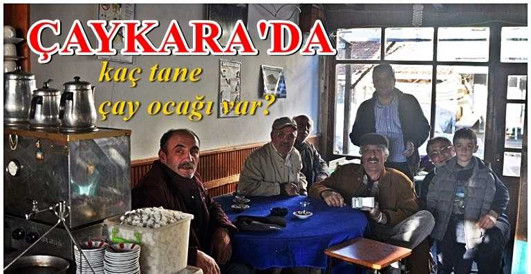 Çaykara’da kaç çay ocağı var?