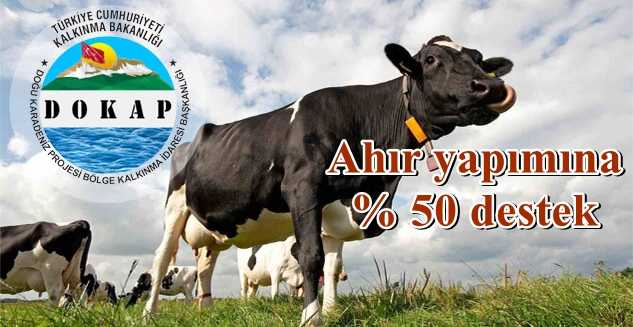 DOKAP’tan hayvancılığa yüzde elli hibe desteği