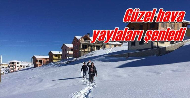 Yaylalarda ılık kış bereketi