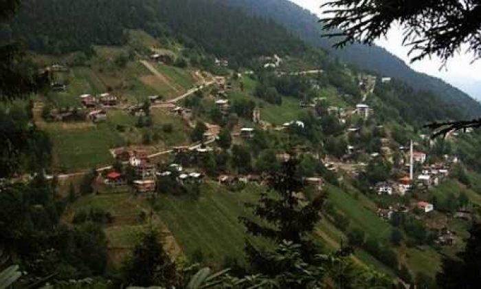 Almanya’dan acı haber