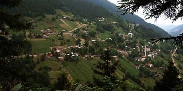 Almanya’dan acı haber