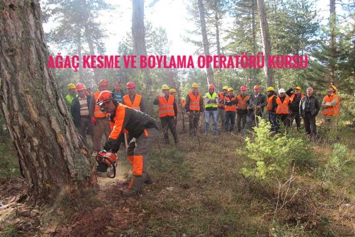 Ağaç Kesme ve Boylama Operatörü Kursu