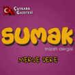 Merve Dere