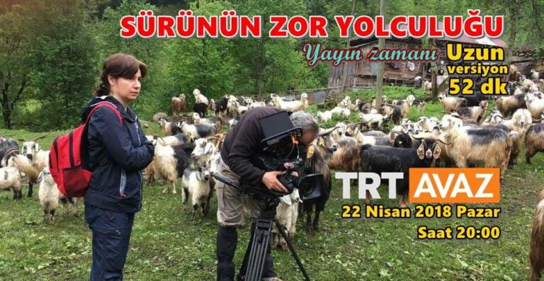 Sürünün Zor Yolculuğu uzun versiyonu yayınlanıyor