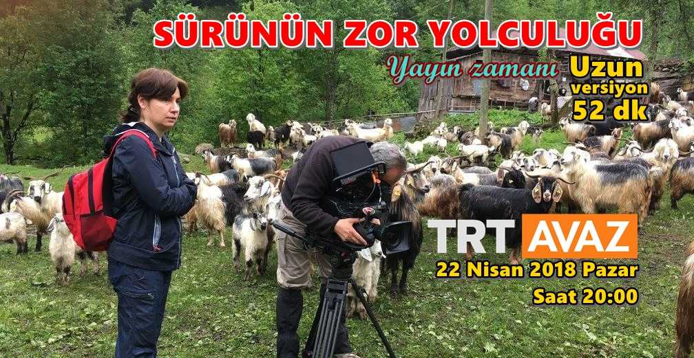 Sürünün Zor Yolculuğu uzun versiyonu yayınlanıyor