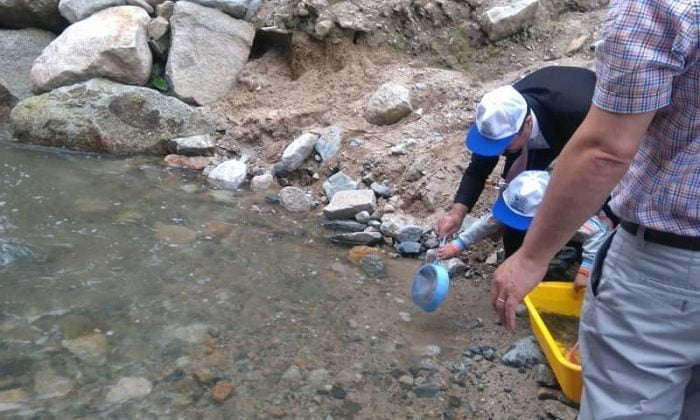 Taşkıran deresine yavru alabalık bırakıldı