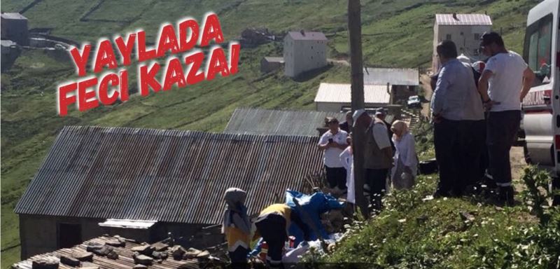 Elektrik direğinden düşerek hayatını kaybetti