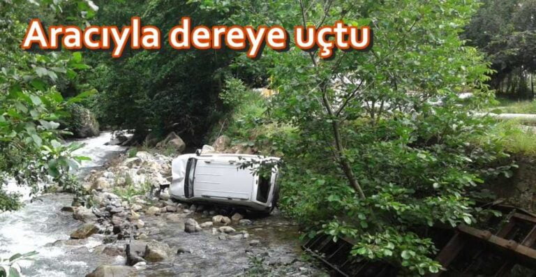 Aracıyla dereye uçtu