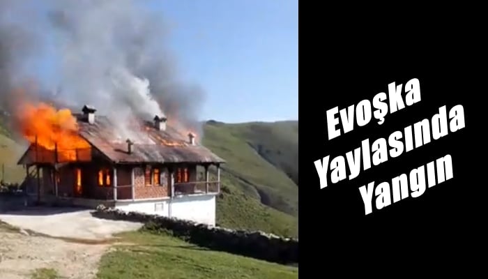Yaylada çıkan yangında bir ev kül oldu