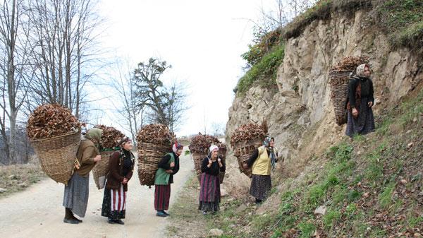 Şimdi kuru yaprak zamanıdır