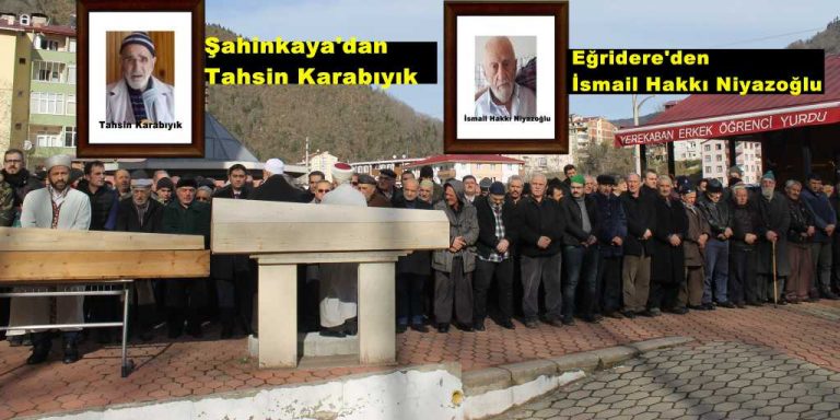 Çaykara’da iki asırlık çınar’a son görev