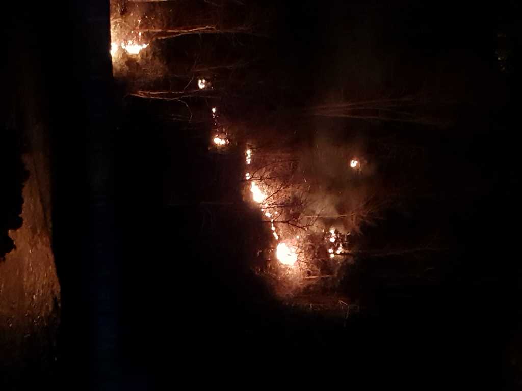Çaykara'da orman yangını! 12
