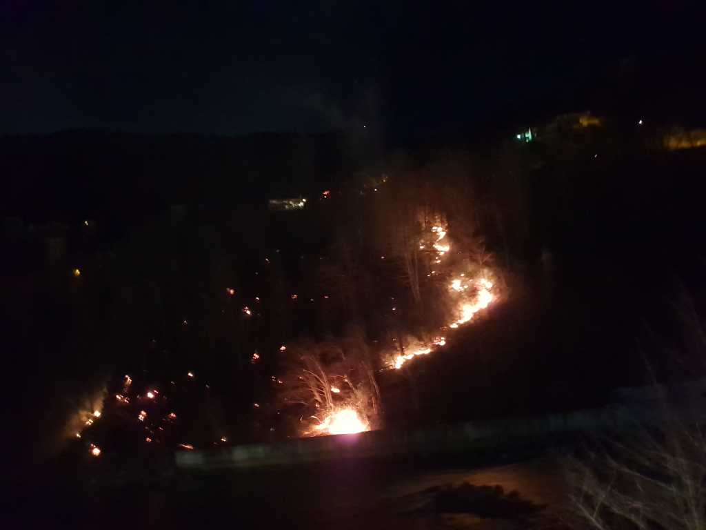 Çaykara'da orman yangını! 2