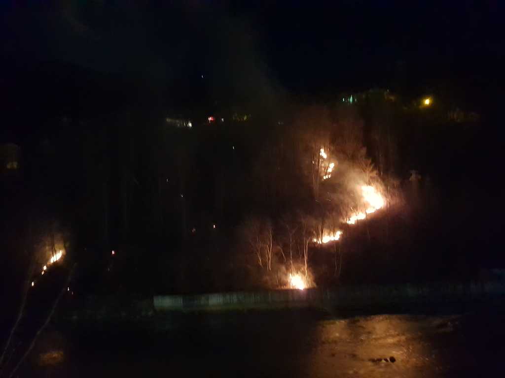 Çaykara'da orman yangını! 6