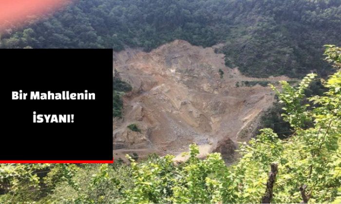 Bir Mahallenin İsyanı!