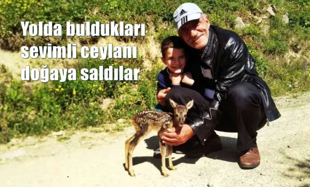 Uzuntarla’da sevimli ceylan önce korktu sonra ayrılmak istemedi