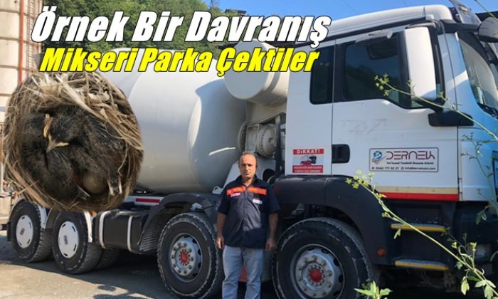 Kuş yuva yaptı diye beton mikseri çalıştırmıyorlar
