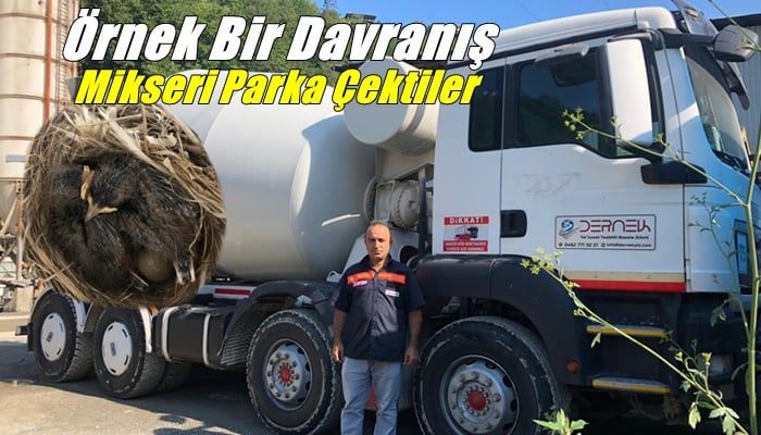 Kuş yuva yaptı diye beton mikseri çalıştırmıyorlar