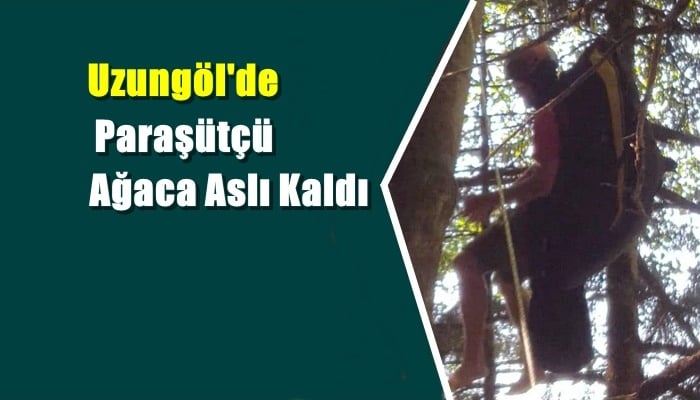 Uzungöl’de yamaç paraşütçüsü iniş esnasında ağaca asılı kaldı.