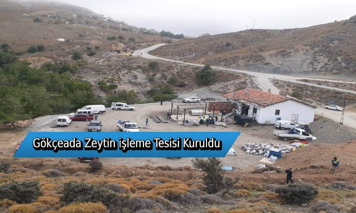Gökçeada’da Zeytin İşleme Tesisi kurdular