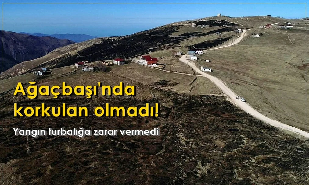 Yangın Ağaçbaşı turbalığına zarar vermedi