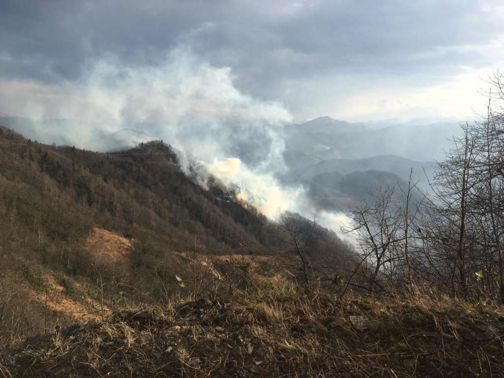 Holo Günebakan’da Orman Yangını 1