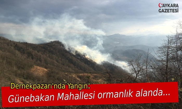 Holo Günebakan’da Orman Yangını