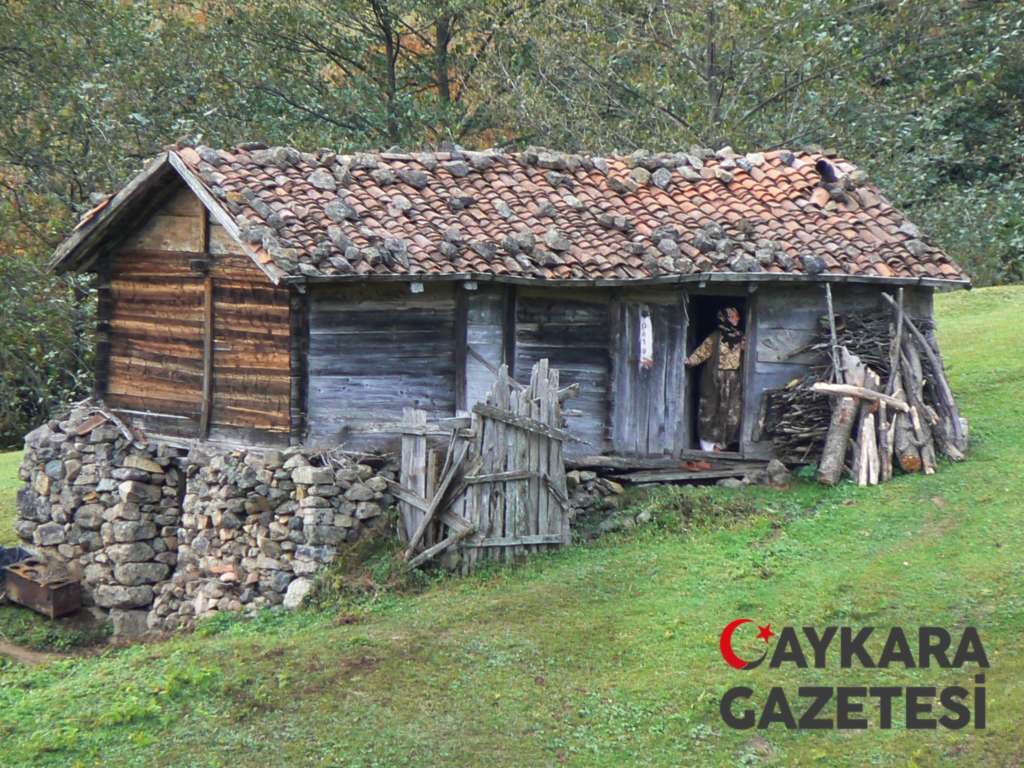 Mezire-Kom hayatında son demler... 1