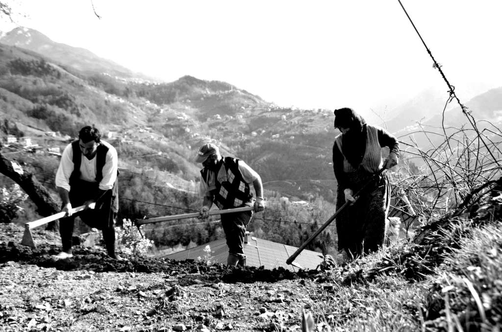 Çaykara köylerinde yevmiyeci olmak…