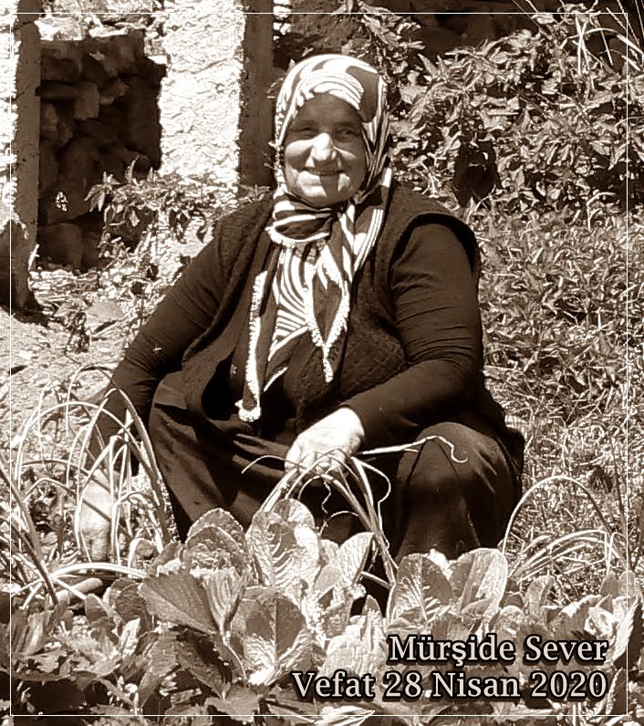 Çocukluğumdan bir yaprak düştü! Bir göç hikayesi ve Mürşide halamız